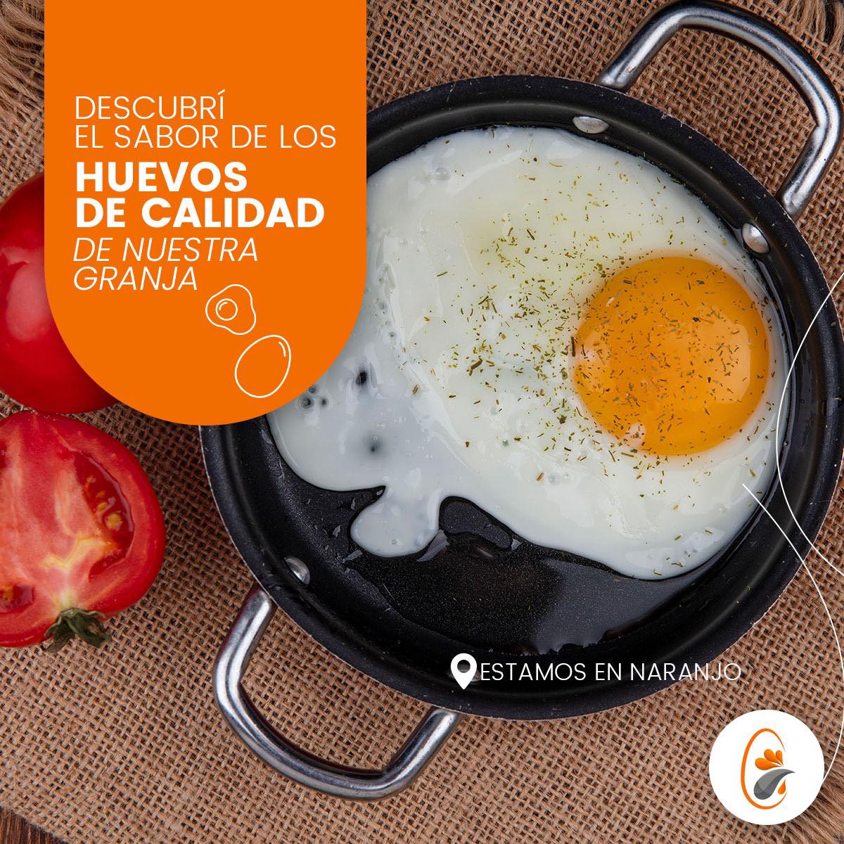 Granja Avícola Arias - Huevos